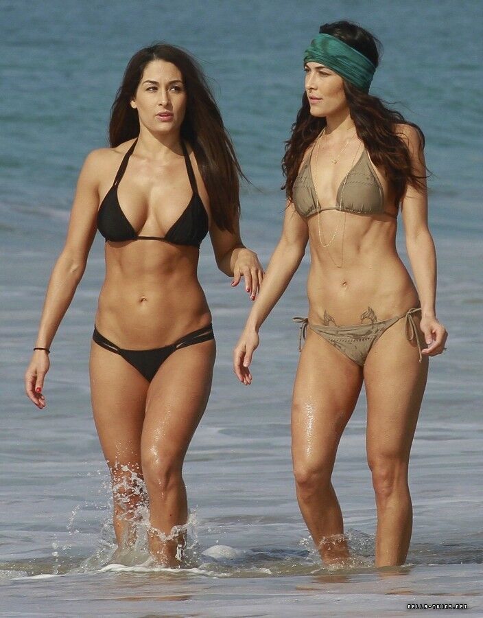 Bella Twins playing on the beach 15 of 28 pics