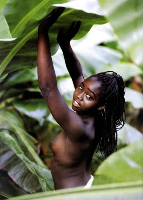 African and African-American chix nude 17 of 50 pics