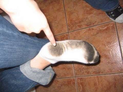 Free porn pics of Girls with dirty socks 12 of 67 pics