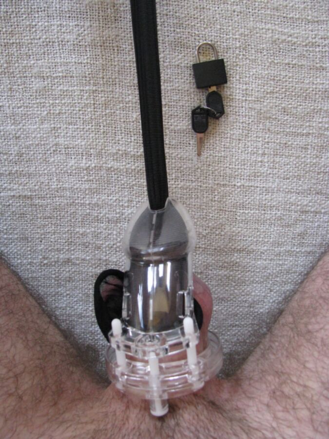 Free porn pics of How to put your chastity cage 5 of 12 pics