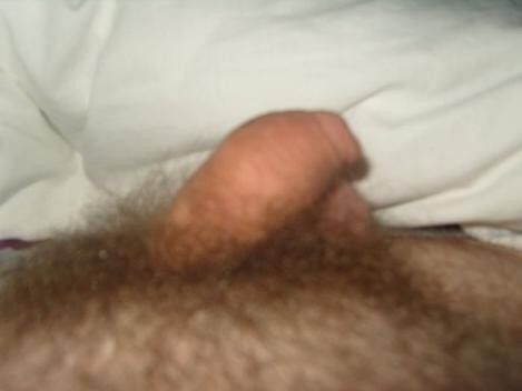 Free porn pics of my small penis 5 of 5 pics