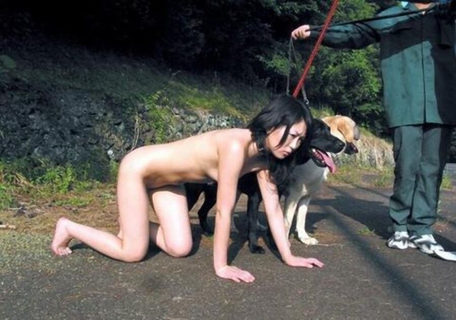 Free porn pics of BDSM - Bitches held in leash by their Master 24 of 30 pics