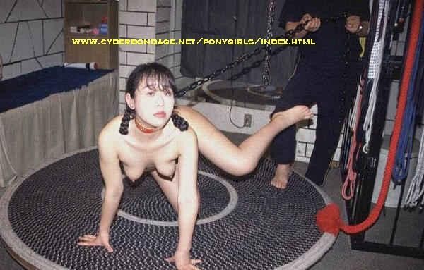Free porn pics of BDSM - Bitches held in leash by their Master 6 of 30 pics