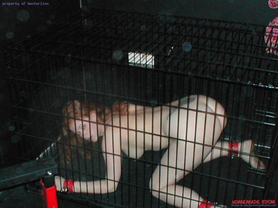 Free porn pics of Cage 21 of 370 pics