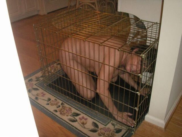 Free porn pics of Cage 6 of 370 pics
